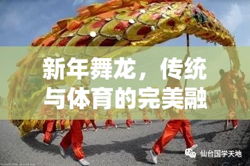 新年舞龍，傳統(tǒng)文化的現(xiàn)代體育演繹——創(chuàng)意體育游戲教案