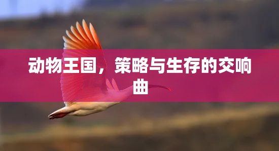 動(dòng)物王國(guó)，策略與生存的交響樂(lè)章