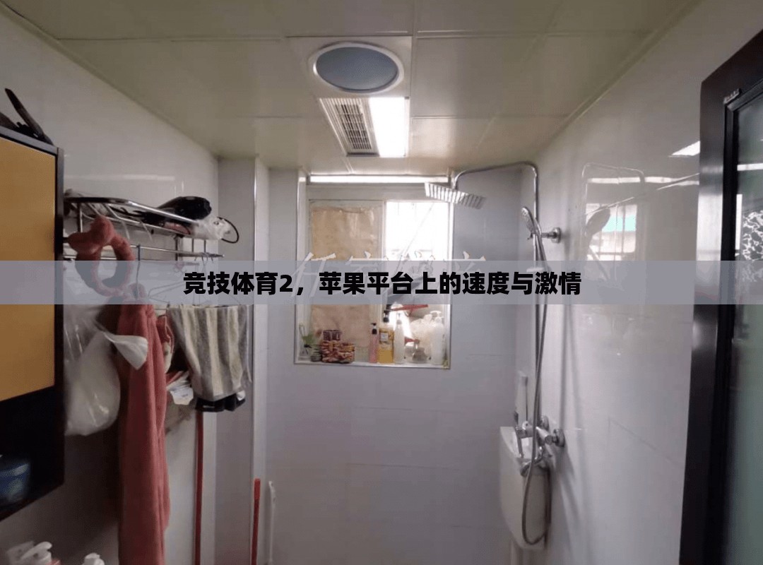 蘋果平臺(tái)上的速度與激情，競(jìng)技體育2的挑戰(zhàn)與魅力