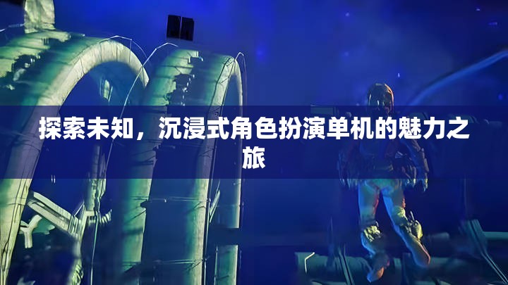 探索未知，沉浸式角色扮演單機的魅力之旅