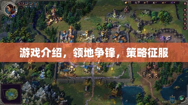 領(lǐng)地爭鋒，策略征服的史詩之旅