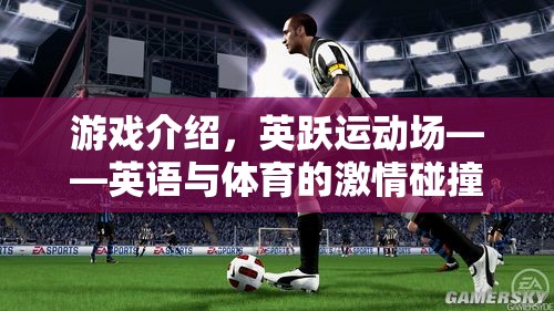 英躍運(yùn)動(dòng)場(chǎng)，英語(yǔ)與體育的激情碰撞
