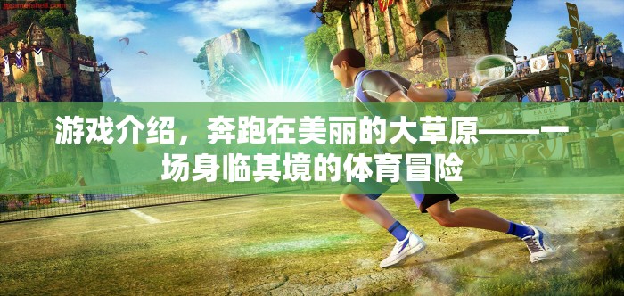 草原之舞，身臨其境的體育冒險之旅
