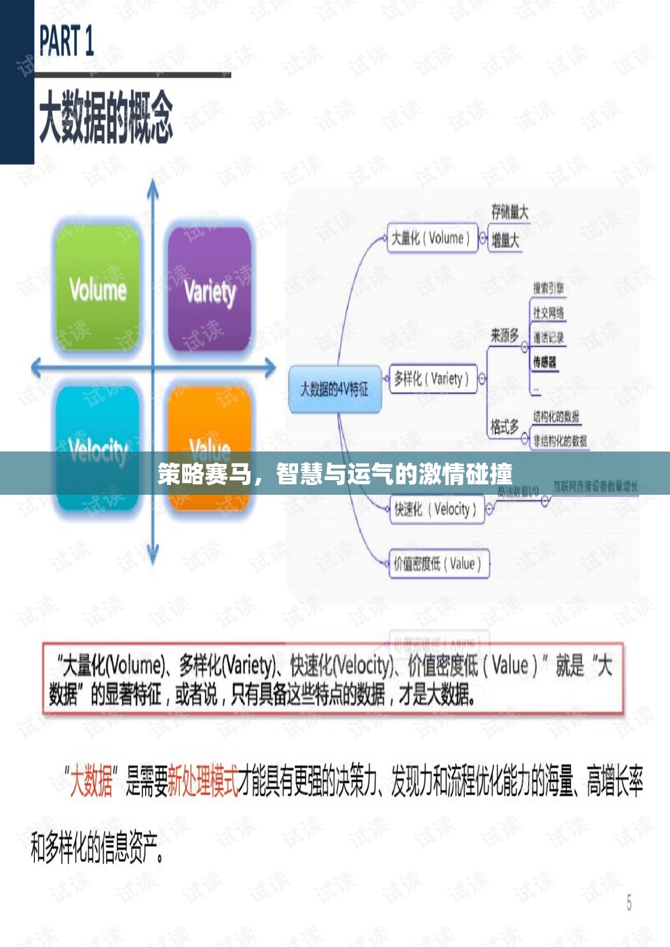 智慧與運(yùn)氣的激情碰撞，策略賽馬