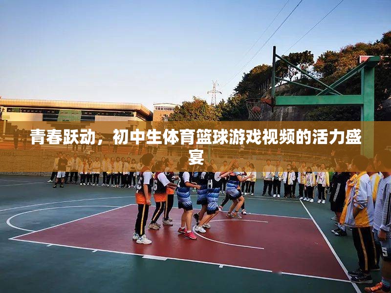 初中生籃球游戲，青春躍動(dòng)的活力盛宴  第3張