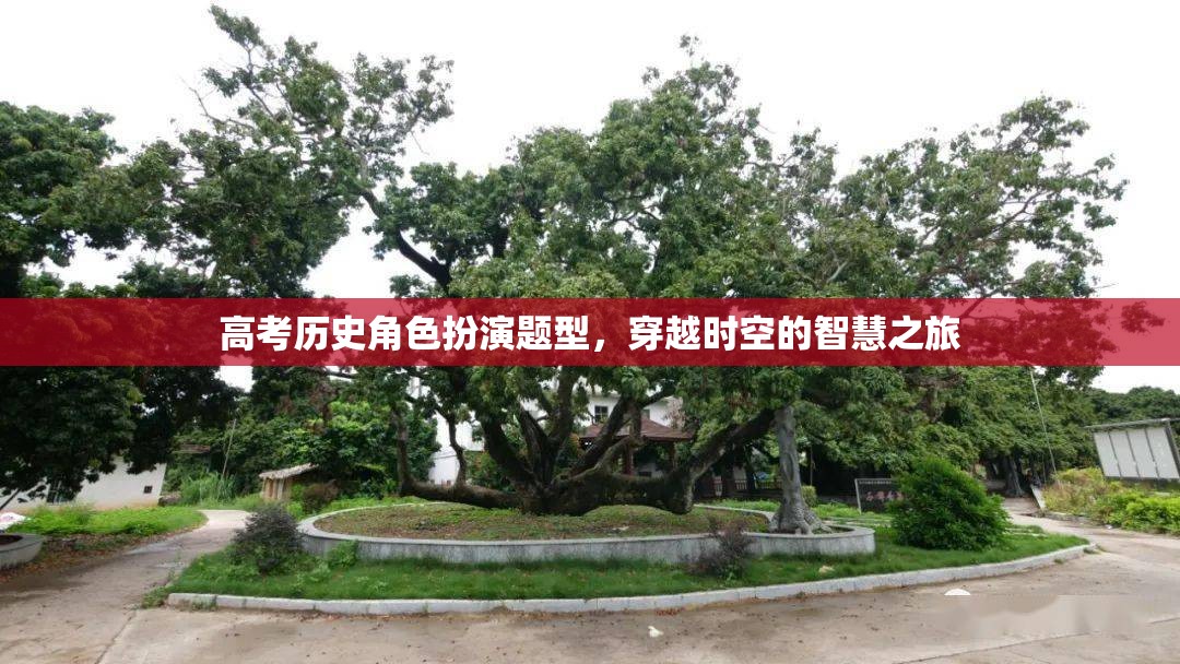 穿越時空的智慧之旅，高考?xì)v史角色扮演題型的探索與挑戰(zhàn)