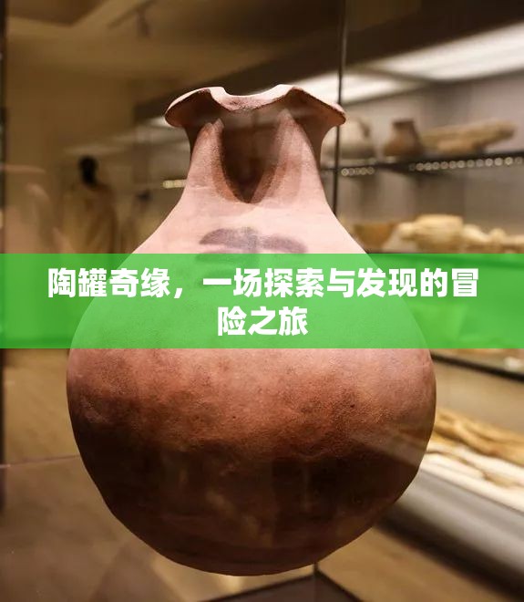 陶罐奇緣，探索與發(fā)現(xiàn)的冒險之旅