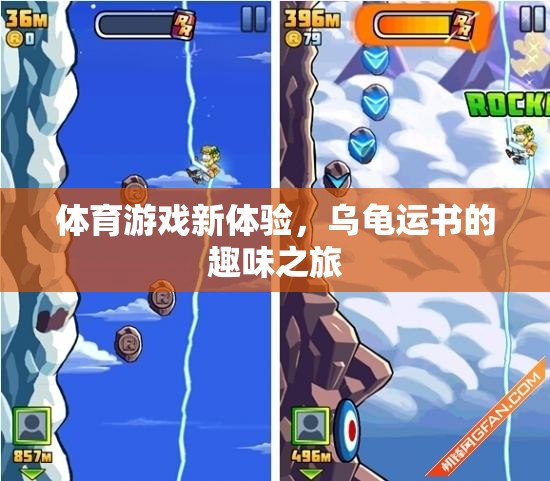 烏龜運書，解鎖體育游戲新體驗的趣味之旅