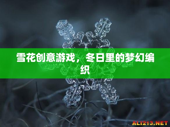 冬日夢幻編織，雪花創(chuàng)意游戲