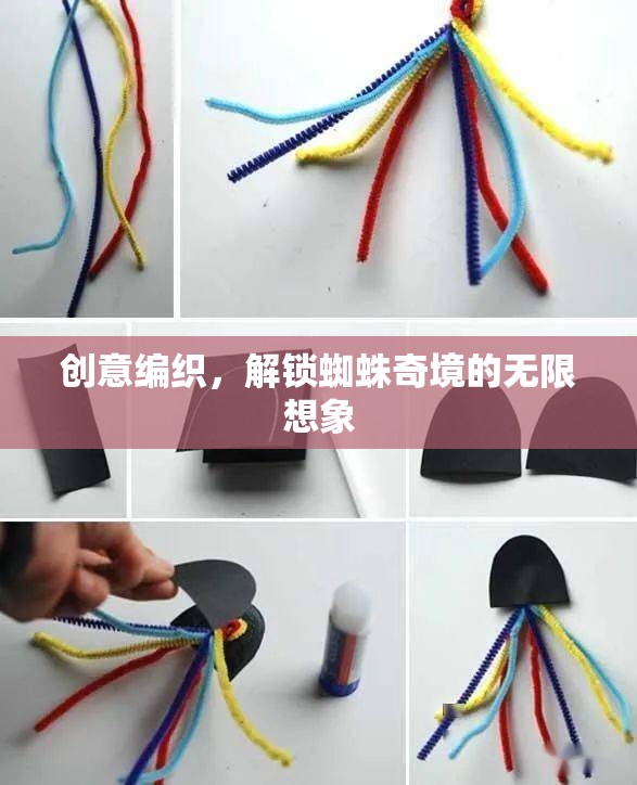 創(chuàng)意編織，解鎖蜘蛛奇境的無限想象之旅