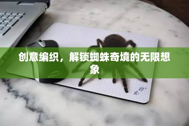 創(chuàng)意編織，解鎖蜘蛛奇境的無限想象之旅
