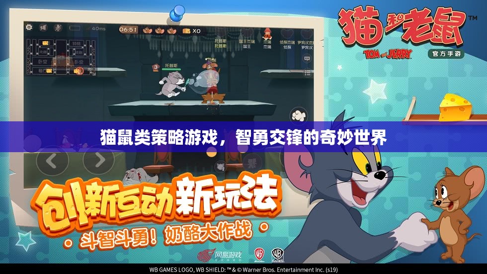 智勇交鋒，貓鼠策略游戲的奇妙世界