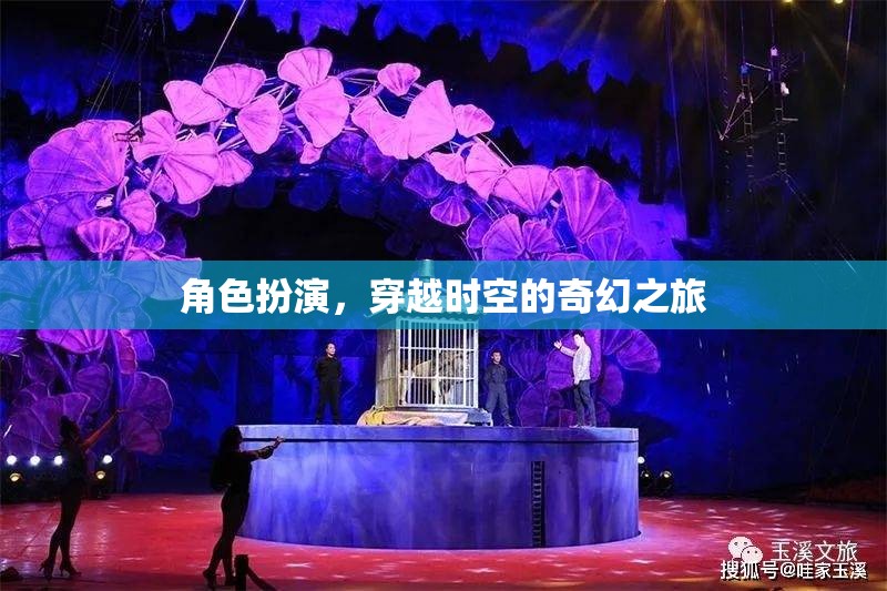 穿越時(shí)空的奇幻之旅，角色扮演的奇幻冒險(xiǎn)