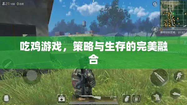 策略與生存的雙重挑戰(zhàn)，吃雞游戲中的完美融合