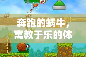 寓教于樂，奔跑的蝸?！?jiǎng)?chuàng)意體育游戲教案設(shè)計(jì)