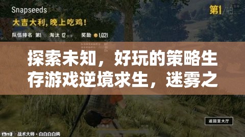 迷霧之地，逆境求生——探索未知的刺激策略生存游戲