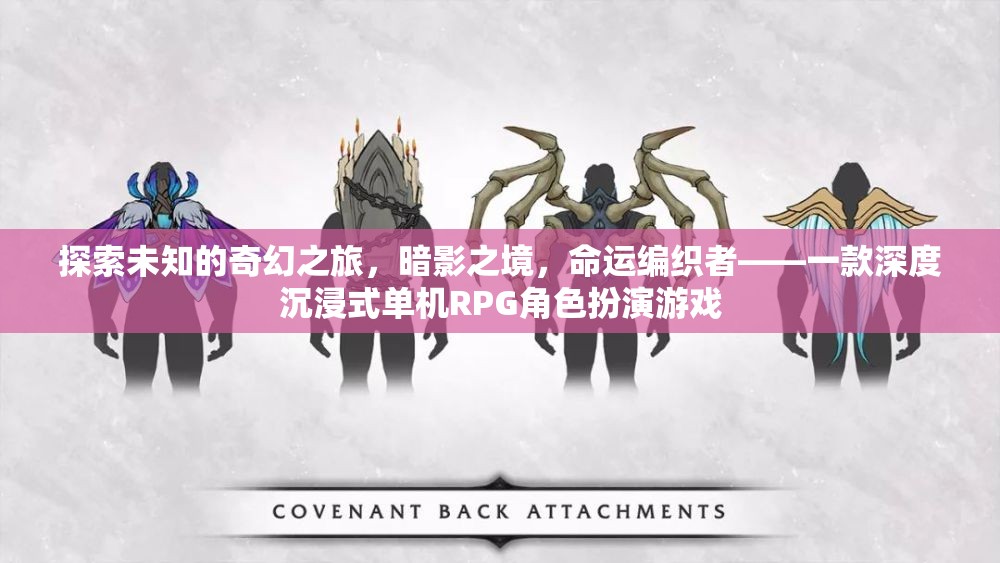 暗影之境，命運編織者的奇幻之旅——深度沉浸式單機RPG角色扮演游戲