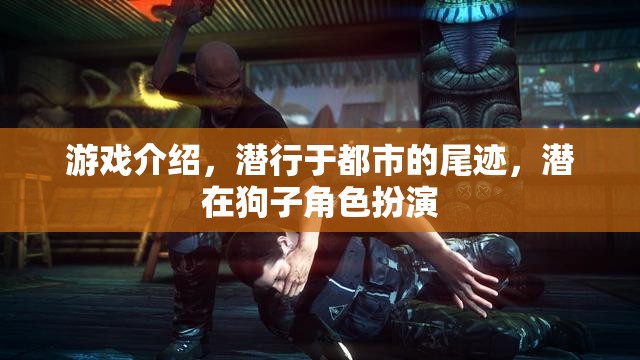 都市潛行者，狗子角色的秘密冒險(xiǎn)