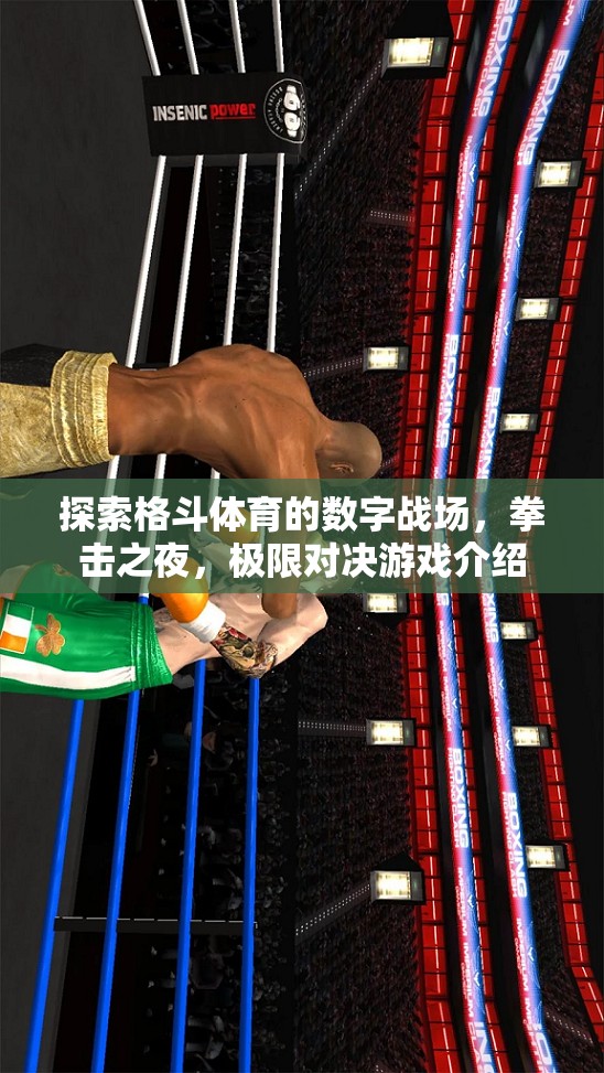 拳擊之夜，探索格斗體育的數(shù)字戰(zhàn)場(chǎng)與極限對(duì)決游戲