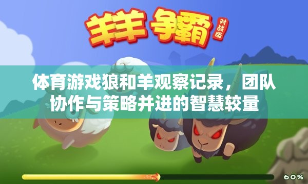 體育游戲狼和羊觀察記錄，團(tuán)隊(duì)協(xié)作與策略并進(jìn)的智慧較量