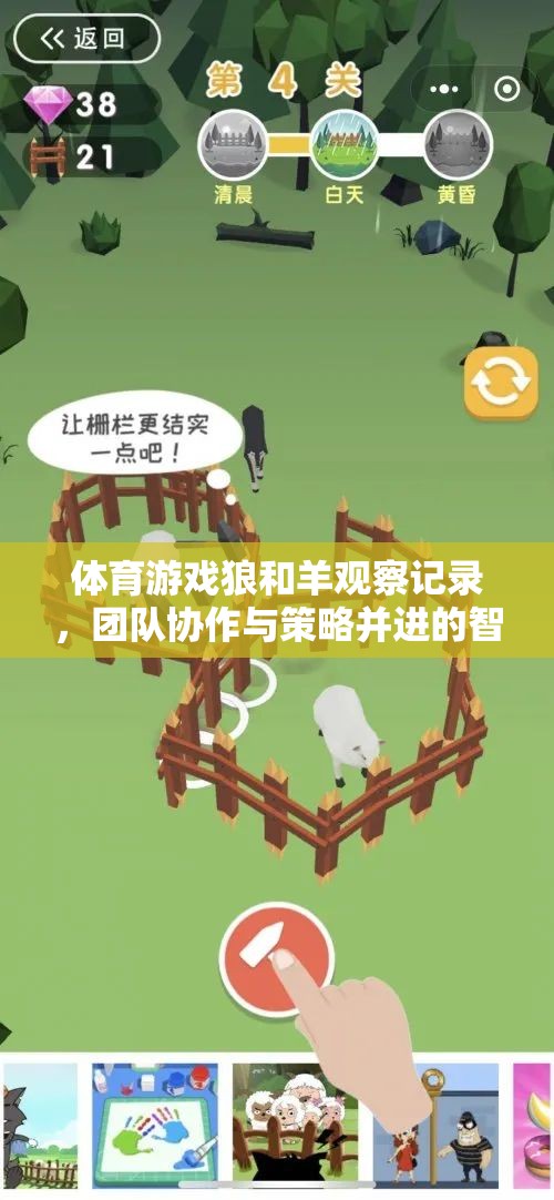 體育游戲狼和羊觀察記錄，團(tuán)隊(duì)協(xié)作與策略并進(jìn)的智慧較量
