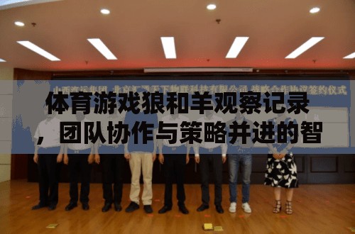 體育游戲狼和羊觀察記錄，團(tuán)隊(duì)協(xié)作與策略并進(jìn)的智慧較量