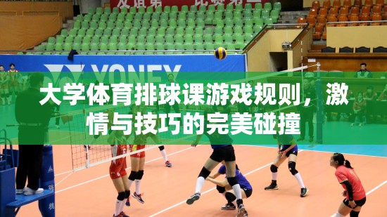激情與技巧的碰撞，大學(xué)體育排球課游戲規(guī)則解析