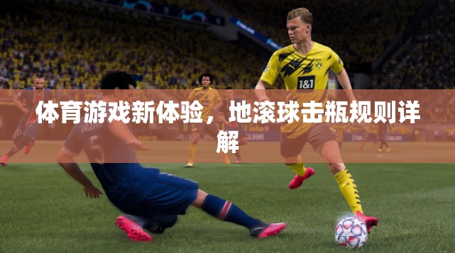 解鎖新體驗(yàn)，地滾球擊瓶規(guī)則詳解  第3張