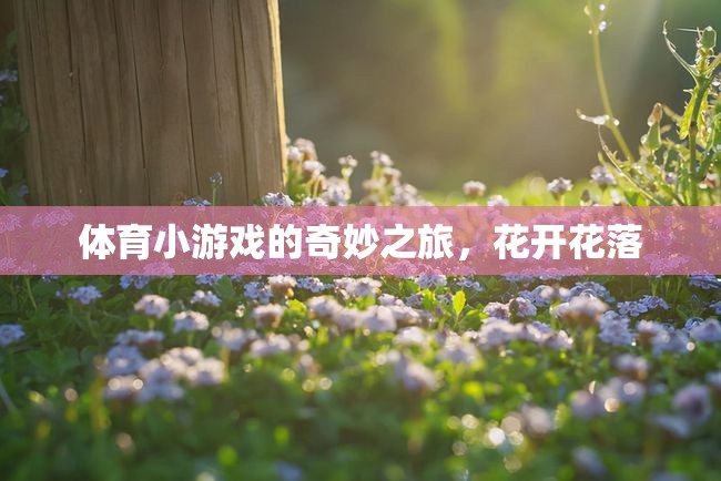 體育小游戲的奇妙之旅，花開花落的樂(lè)趣