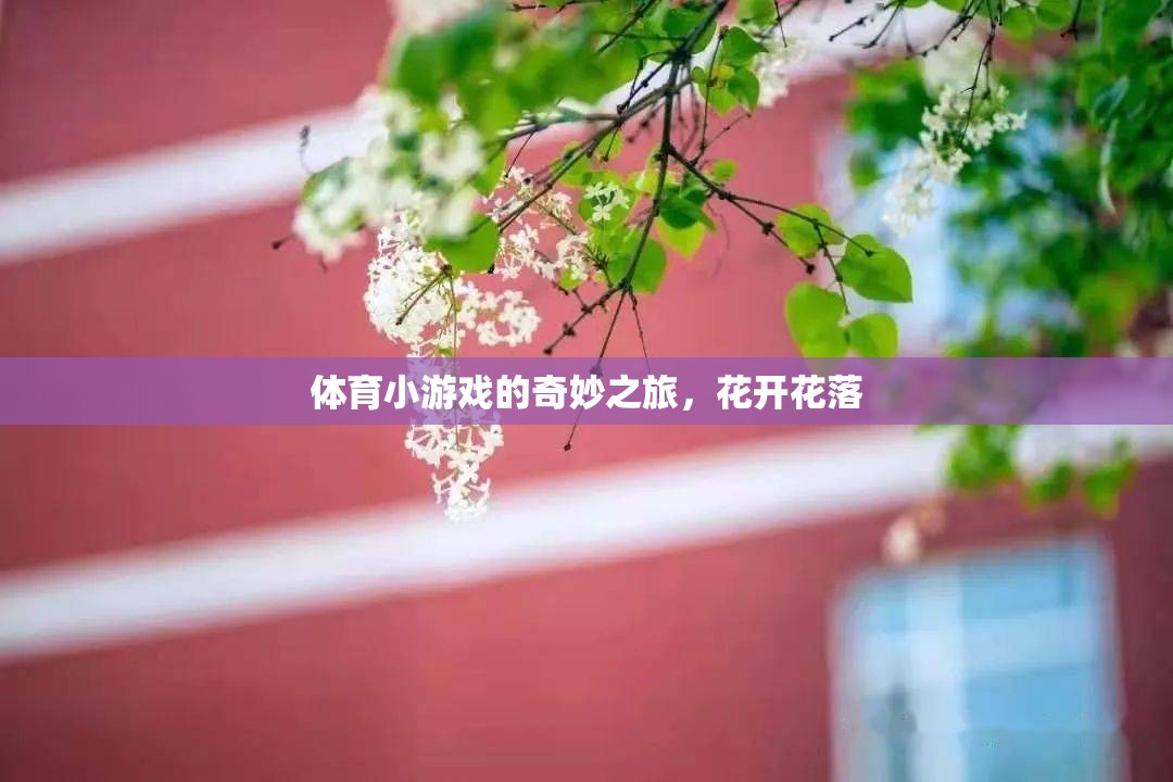 體育小游戲的奇妙之旅，花開花落的樂(lè)趣