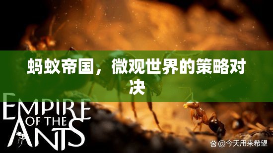 微觀世界的策略對決，螞蟻帝國的啟示  第1張