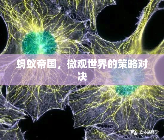 微觀世界的策略對決，螞蟻帝國的啟示  第3張