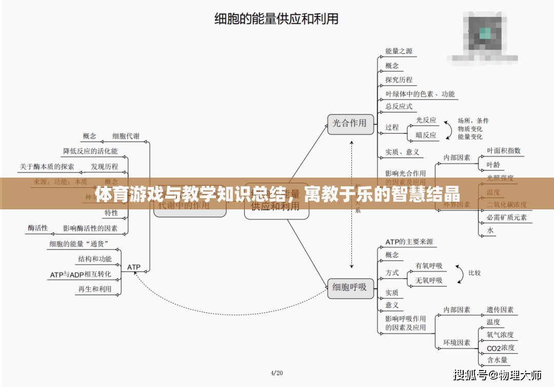 寓教于樂，體育游戲與教學(xué)知識(shí)的智慧結(jié)晶