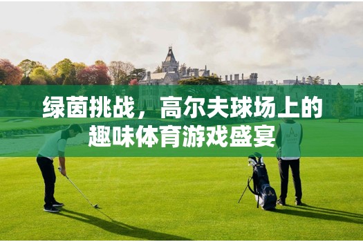 綠茵挑戰(zhàn)，高爾夫球場(chǎng)上的趣味體育游戲盛宴