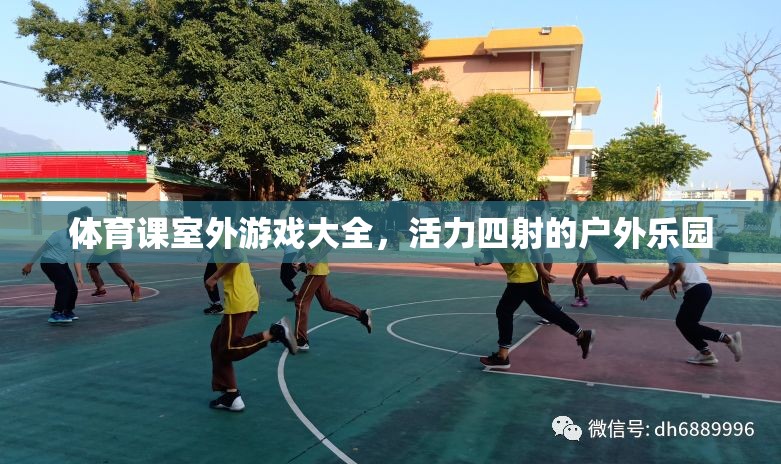 體育課室外游戲大全，活力四射的戶外樂園