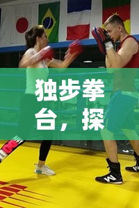 獨(dú)步拳臺(tái)，解鎖單人拳擊體育游戲的無限魅力