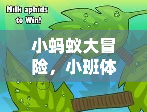 小螞蟻大冒險(xiǎn)，小班體育游戲教案的創(chuàng)意探索之旅