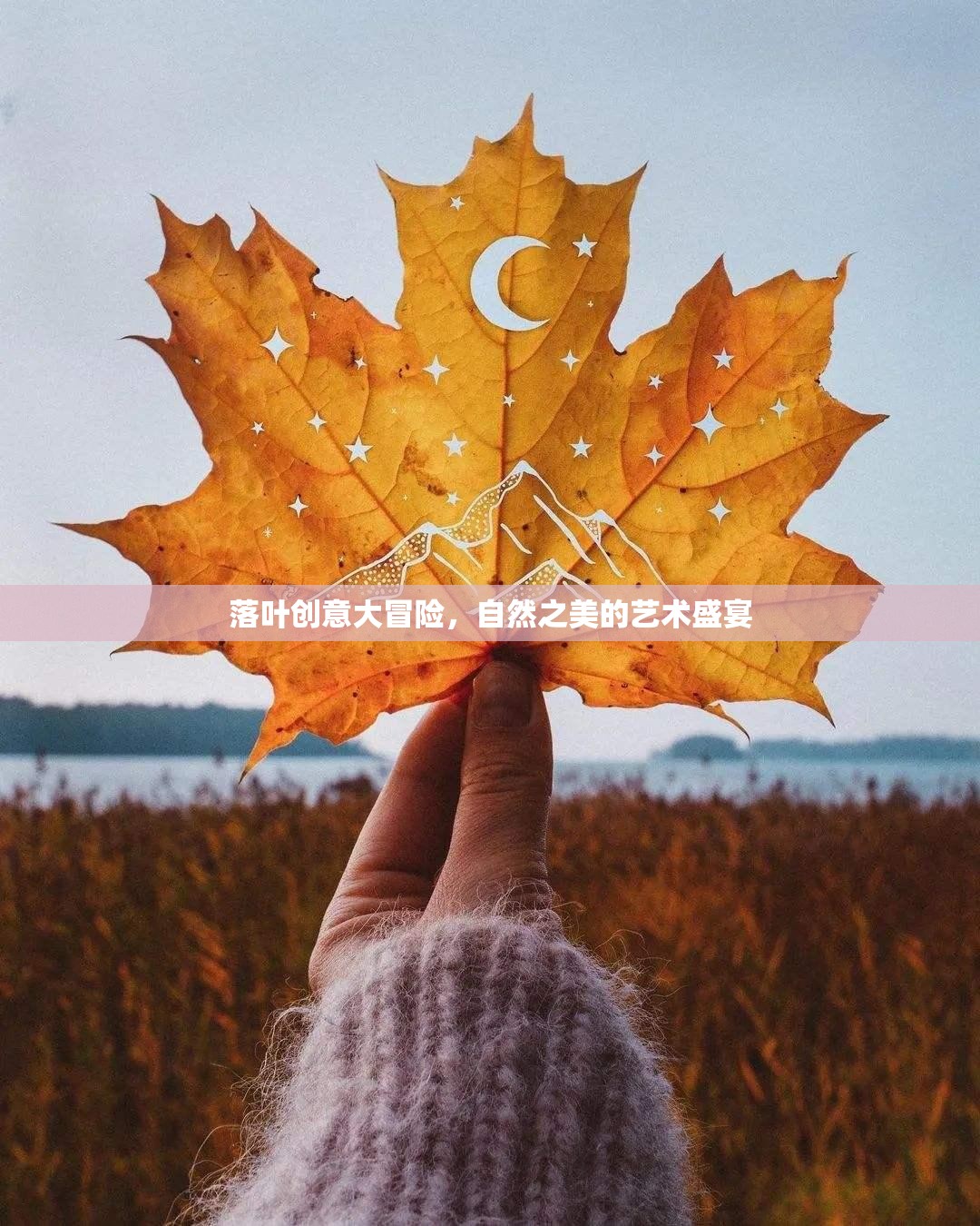 落葉創(chuàng)意大冒險，自然之美的藝術(shù)盛宴