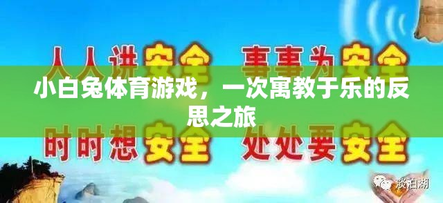 小白兔體育游戲，一次寓教于樂的反思之旅