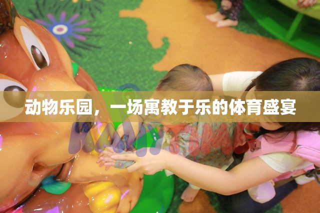 寓教于樂，動(dòng)物樂園的體育盛宴