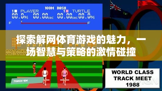 解網(wǎng)體育游戲，智慧與策略的激情碰撞