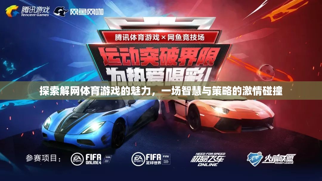 解網(wǎng)體育游戲，智慧與策略的激情碰撞