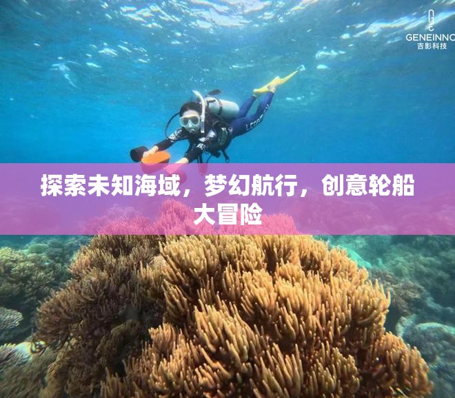 探索未知海域，夢幻航行，創(chuàng)意輪船大冒險