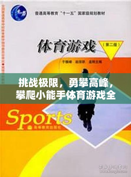 挑戰(zhàn)極限，勇攀高峰，攀爬小能手體育游戲深度解析