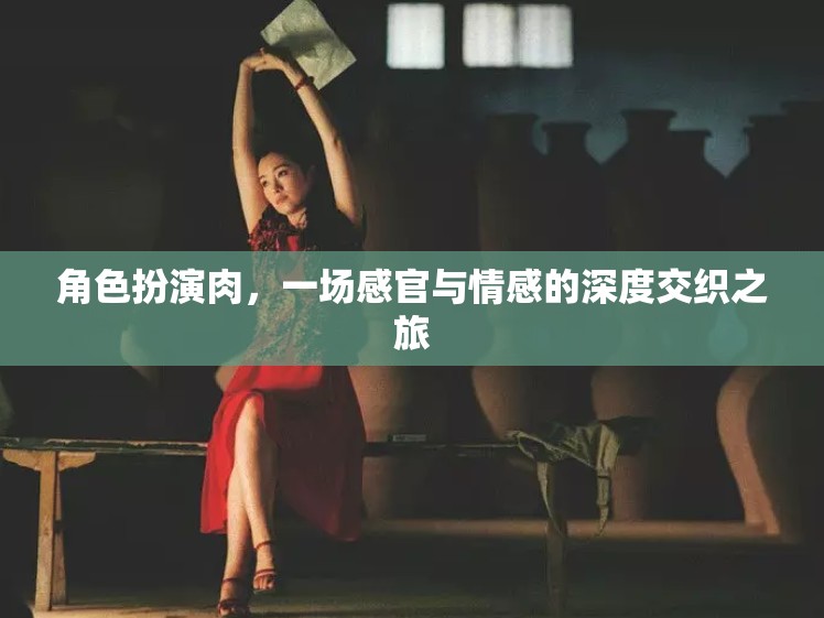 角色扮演肉，一場感官與情感的深度交織之旅  第2張