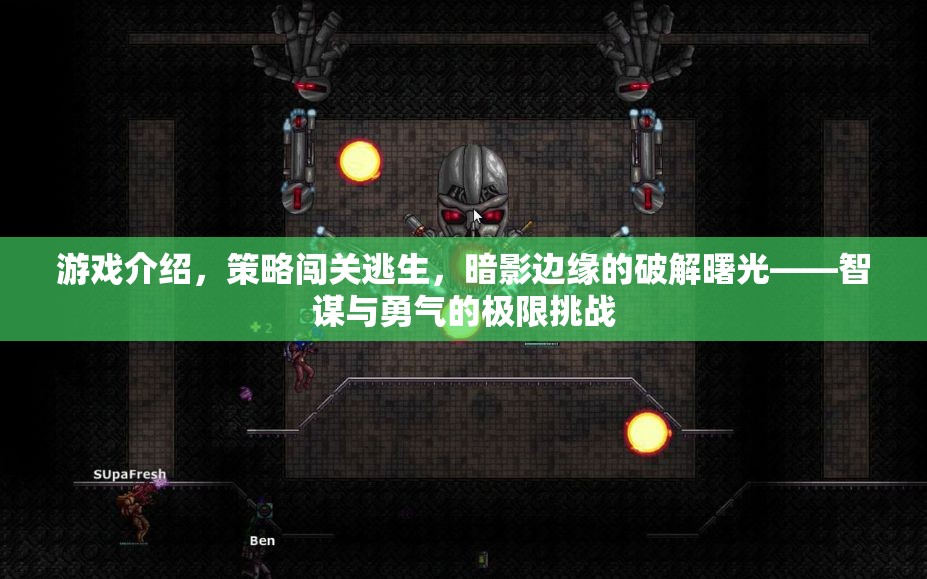暗影邊緣的破解曙光，智謀與勇氣的極限策略闖關(guān)逃生挑戰(zhàn)