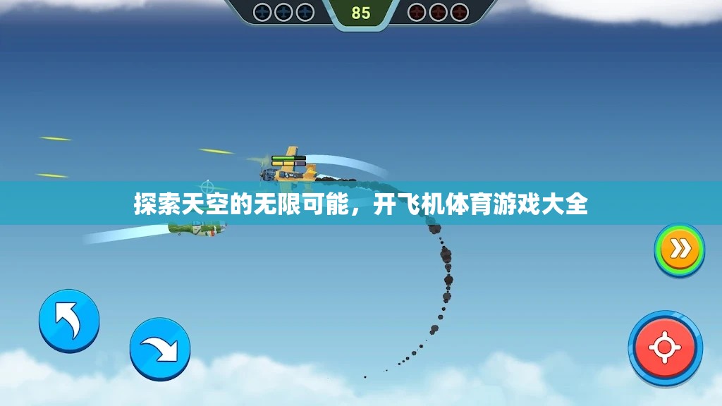 翱翔天際，開飛機(jī)體育游戲大全