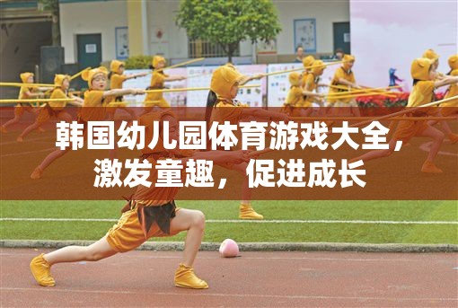 韓國幼兒園體育游戲大全，激發(fā)童趣，促進(jìn)孩子全面發(fā)展