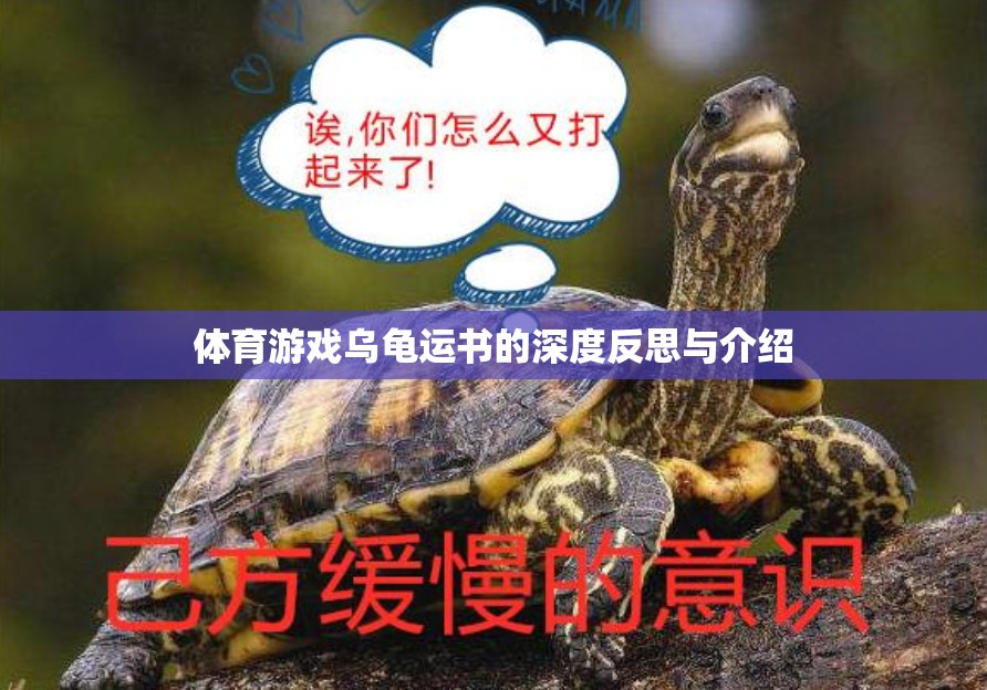 深度反思與介紹，體育游戲?yàn)觚斶\(yùn)書(shū)的挑戰(zhàn)與樂(lè)趣