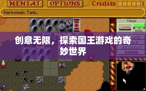 探索國(guó)王游戲的奇妙世界，創(chuàng)意無(wú)限